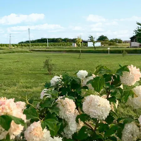 1 Bedroom In 別荘 Savignac-sur-Leyze
